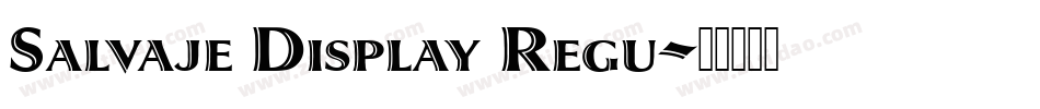 Salvaje Display Regu字体转换